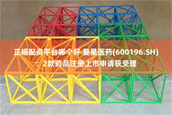 正规配资平台哪个好 复星医药(600196.SH)：2款药品注册上市申请获受理