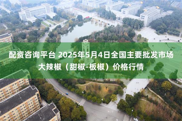 配资咨询平台 2025年5月4日全国主要批发市场大辣椒（甜椒-板椒）价格行情