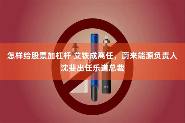 怎样给股票加杠杆 艾铁成离任，蔚来能源负责人沈斐出任乐道总裁