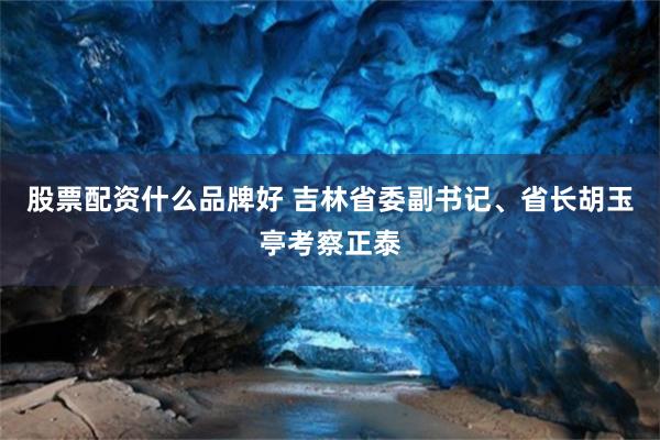 股票配资什么品牌好 吉林省委副书记、省长胡玉亭考察正泰