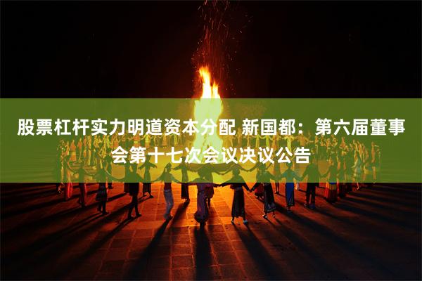 股票杠杆实力明道资本分配 新国都：第六届董事会第十七次会议决议公告