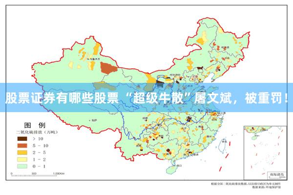 股票证券有哪些股票 “超级牛散”屠文斌，被重罚！