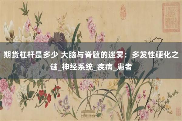 期货杠杆是多少 大脑与脊髓的迷雾：多发性硬化之谜_神经系统_疾病_患者