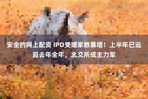 安全的网上配资 IPO受理家数暴增！上半年已远超去年全年，北交所成主力军