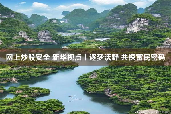 网上炒股安全 新华视点丨逐梦沃野 共探富民密码