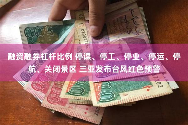 融资融券杠杆比例 停课、停工、停业、停运、停航、关闭景区 三亚发布台风红色预警